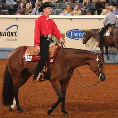 Cool Krymsun Lady — profile photo