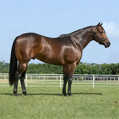 Coronas Leaving You — profile photo