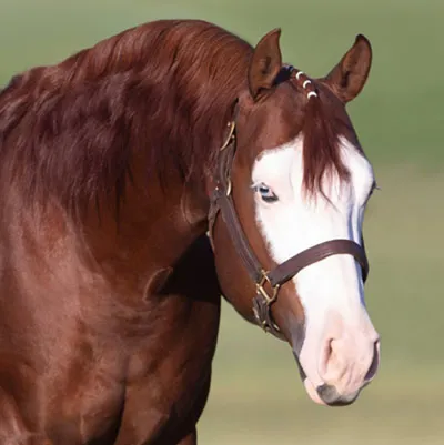 Down Right Amazing — profile photo