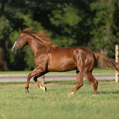 Downright Delicious — profile photo