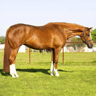 Dressed The Best — profile photo