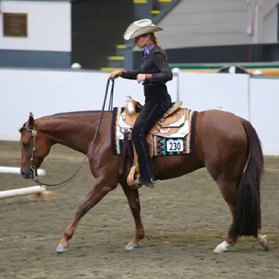 Extremely Good Chip — profile photo