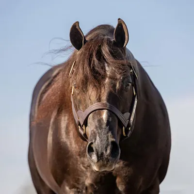 Extremely Hot Chips — profile photo