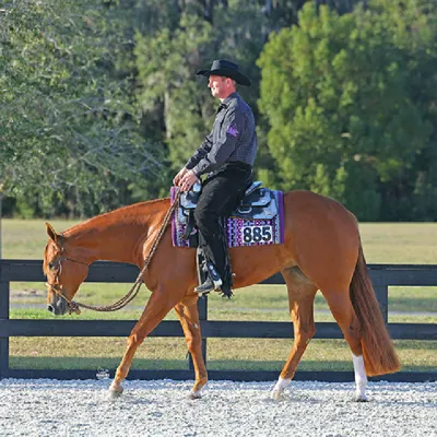 Feeling Groovey — profile photo