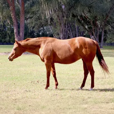 Forever N Ever — profile photo