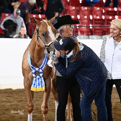 Frank The Tankk — profile photo