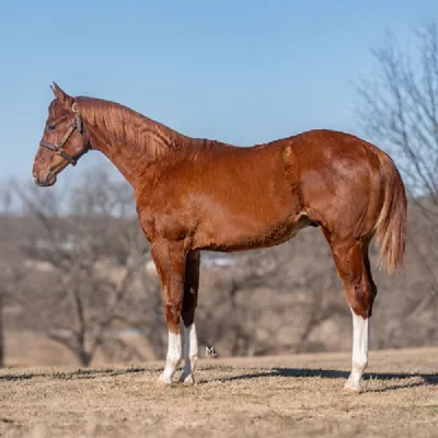 GG Givens — profile photo