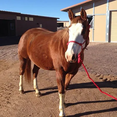 Glendas A Smokingun — profile photo