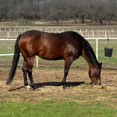 Goodygoody Gumdrops — profile photo