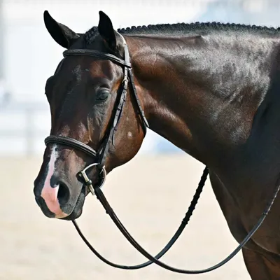 Gunnz N Roses — profile photo