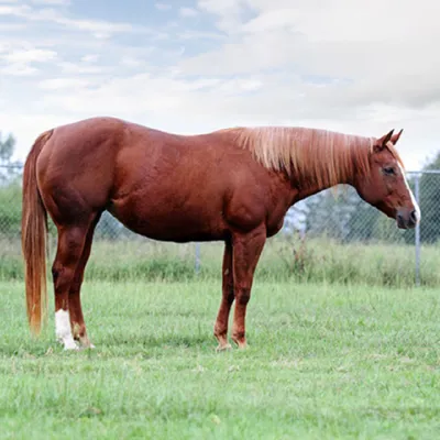 Hot Lopin Louise — profile photo