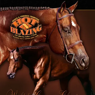 Hot N Blazing — profile photo