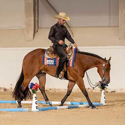 HP Magic Mike — profile photo