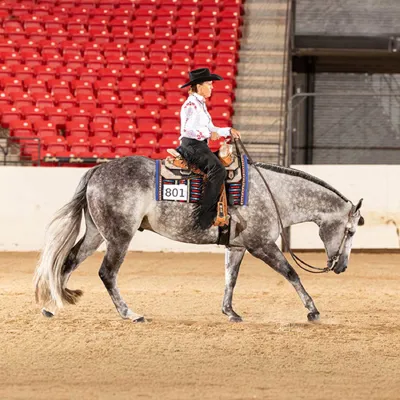 IB Real Lazy — profile photo