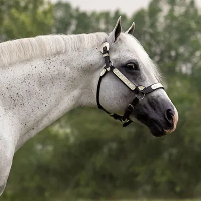 Im A Platinum Dream — profile photo