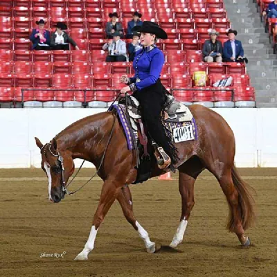 Im Looking For You — profile photo