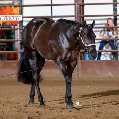 ImWillyWicked — profile photo