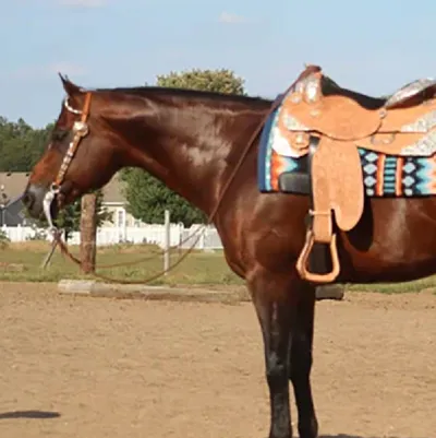 Just Comes Easy — profile photo