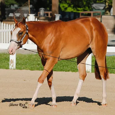 Lookin Good Ms Kitty — profile photo