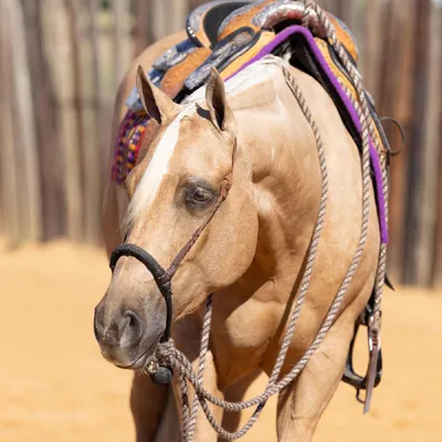 Machine Made Barbie — profile photo