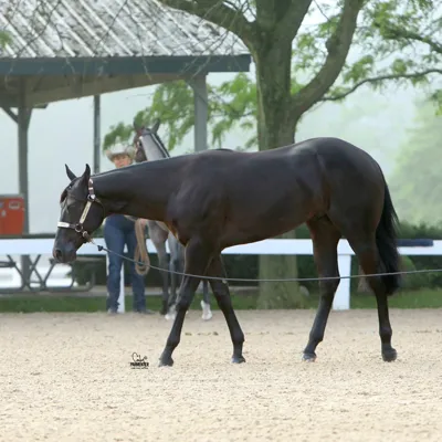 MakinMe Willy Wonka — profile photo