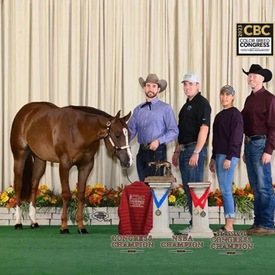 Miss Goodlookin — profile photo