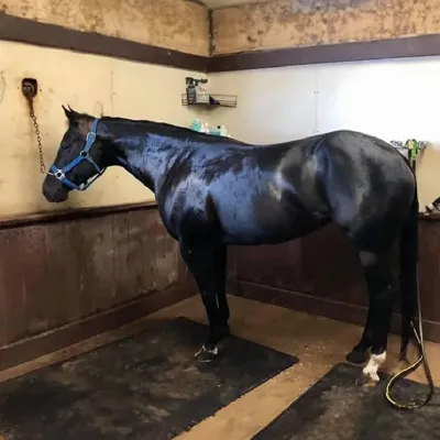 Mylittleblackdress — profile photo