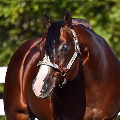 NO DOUBT IM LAZY — profile photo