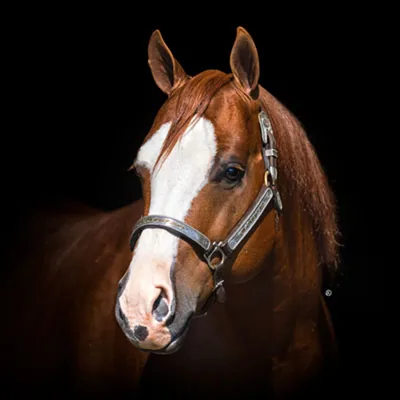 No Smoking Required — profile photo