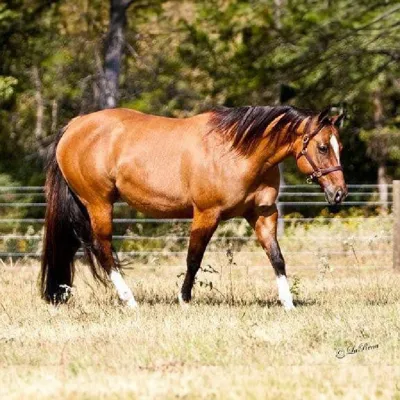 NutherMouseNTheHouse — profile photo