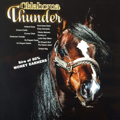 Oklahoma Thunder — profile photo