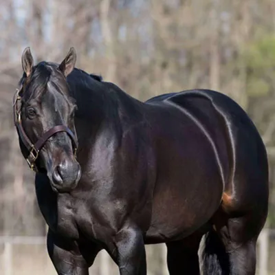 One N Only — profile photo