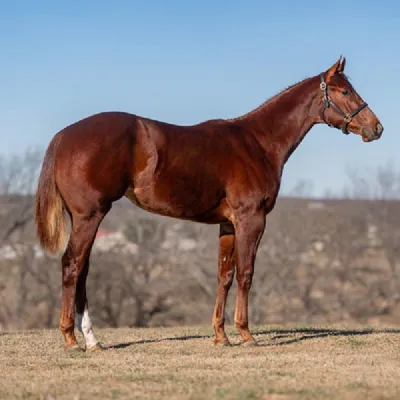 Raylans Estrut — profile photo