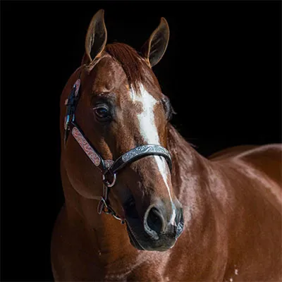 Required Invitation — profile photo