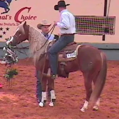 Shiney Walla Wanda — profile photo