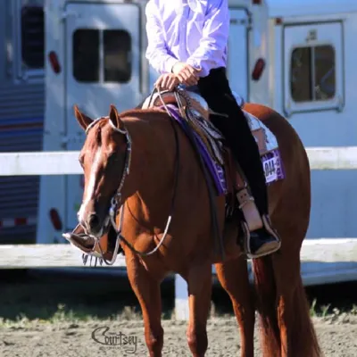 Sleep Machine — profile photo