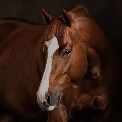 Smooth Talkin Style — profile photo