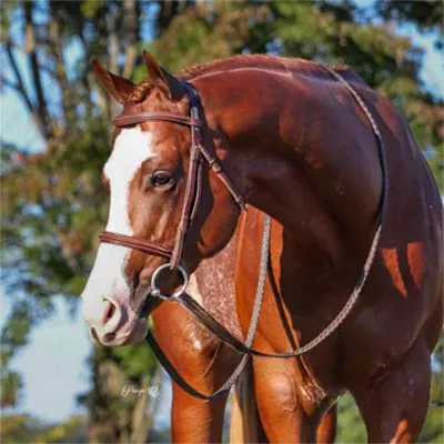 So Much Yes — profile photo