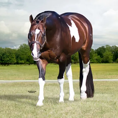 Special Invitation — profile photo