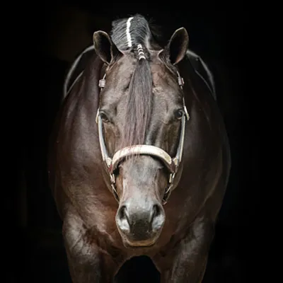 SST Festus — profile photo