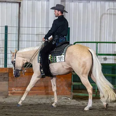 The Impulsive Blonde — profile photo