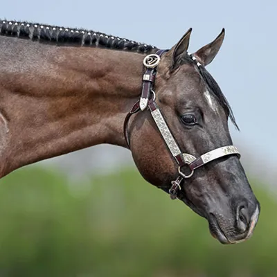 The Milk Man — profile photo