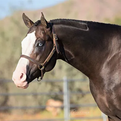 The Wow Factor — profile photo