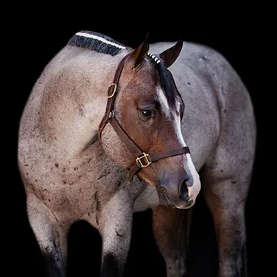 Tik Tock — profile photo