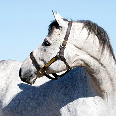 Truly Priceless — profile photo