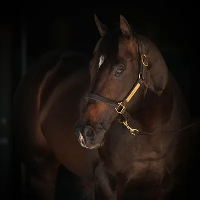 Uncle D — profile photo