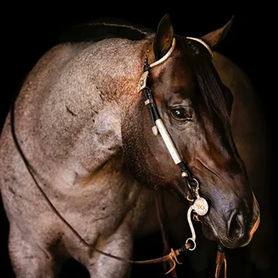 VS Goodride — profile photo