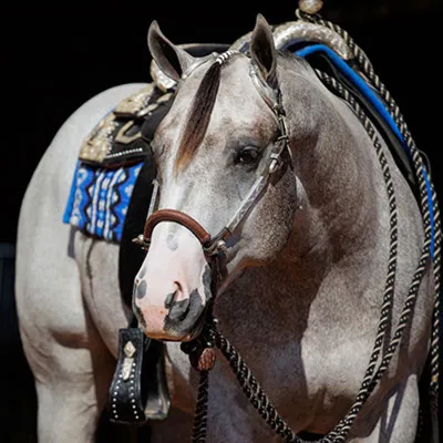 VS Phantom Code — profile photo