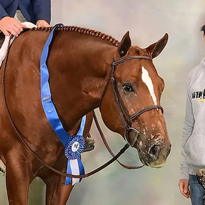 Whataya Want From Me — profile photo