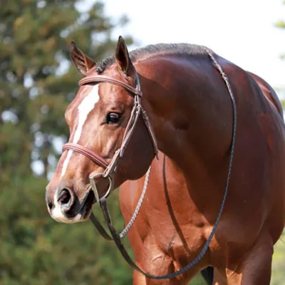 When In Chrome — profile photo